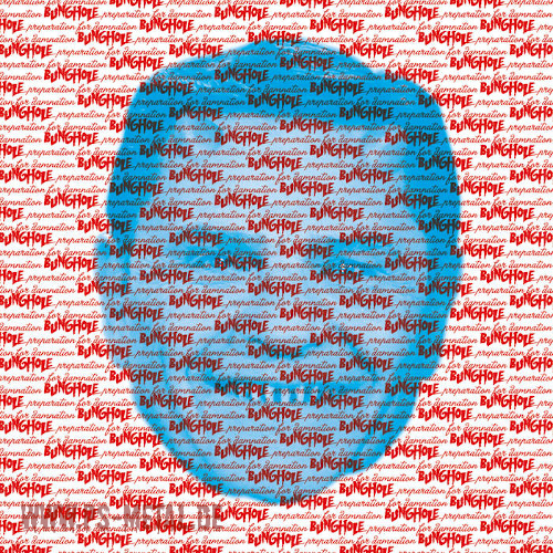 Bunghole - Preparation For DamnationCD