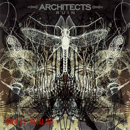 Architects - RuinLP