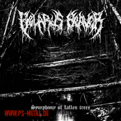 Belarus Beaver - Symphony of Fallen TreesCD